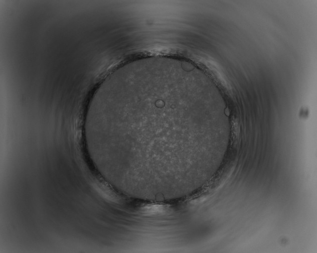 X0000103320499200809261139