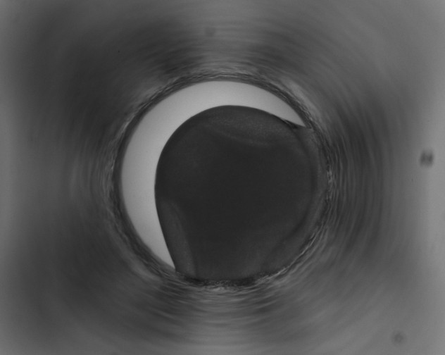 X0000103320500200809261139