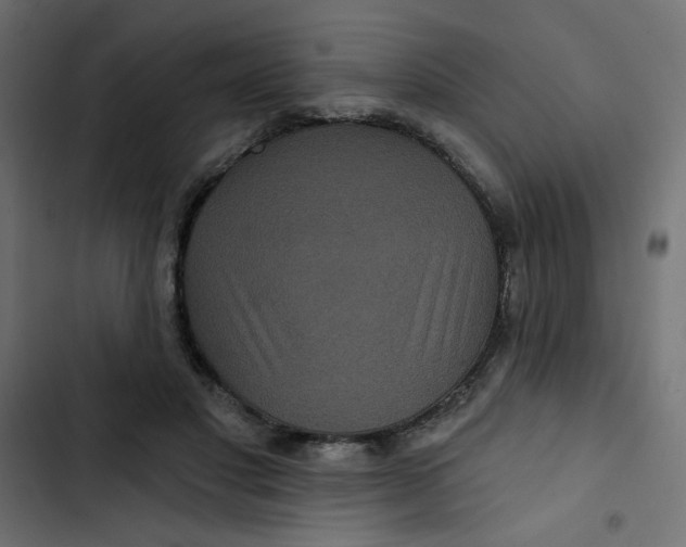 X0000103320501200809261139