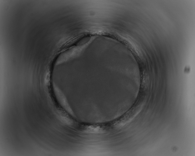 X0000103320502200809261139