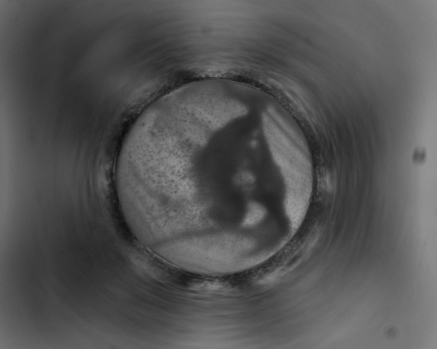 X0000103320503200809261139