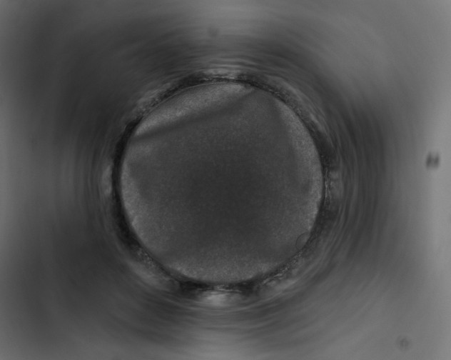 X0000103320504200809261139