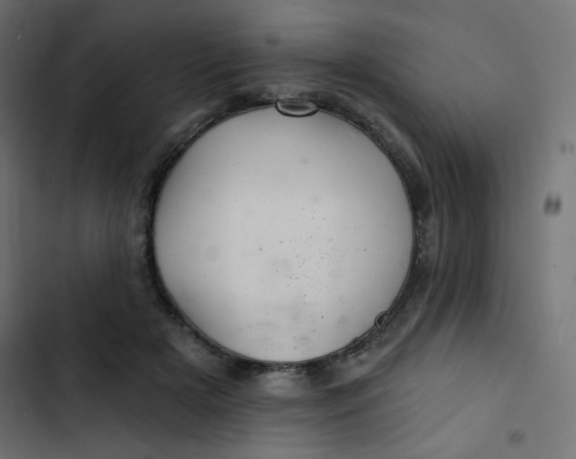 X0000103320505200809261139