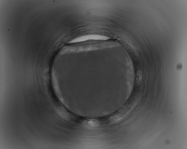 X0000103320506200809261139