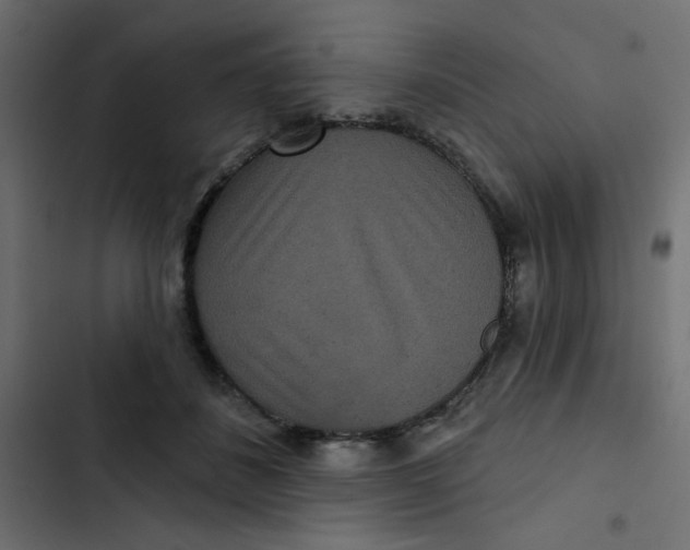 X0000103320508200809261139