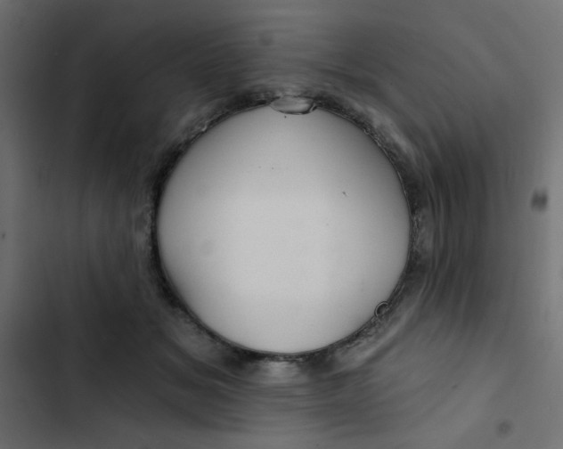 X0000103320509200809261139