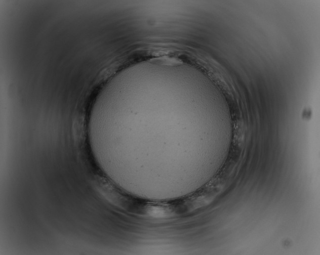 X0000103320510200809261139