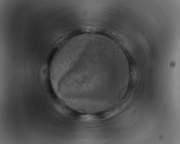 X0000103320511200809261139