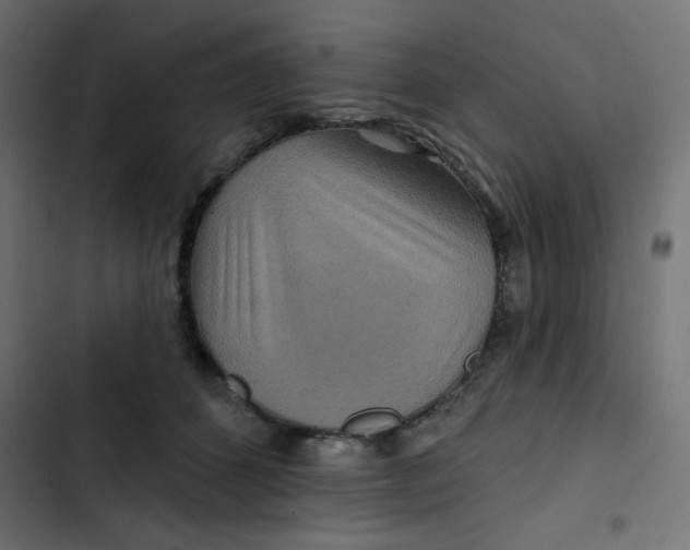 X0000103320512200809261139