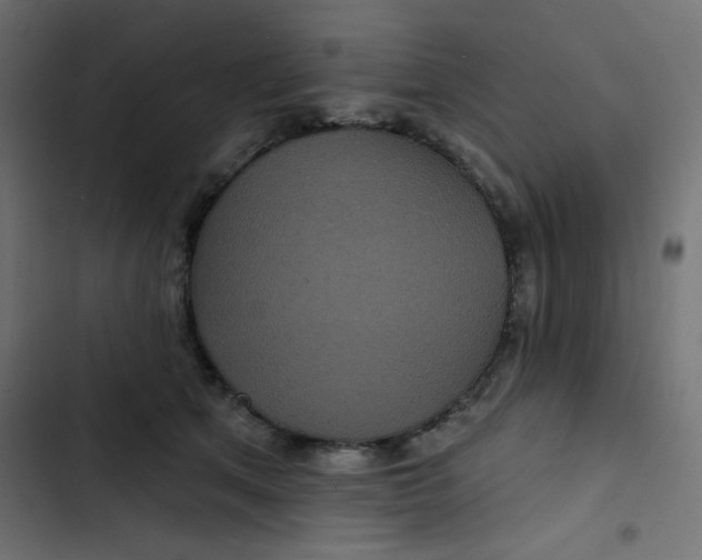 X0000103320513200809261139