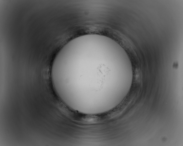 X0000103320514200809261139