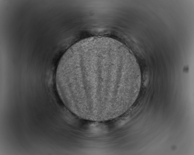 X0000103320515200809261139