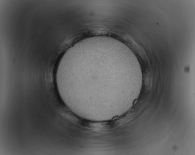 X0000103320516200809261139