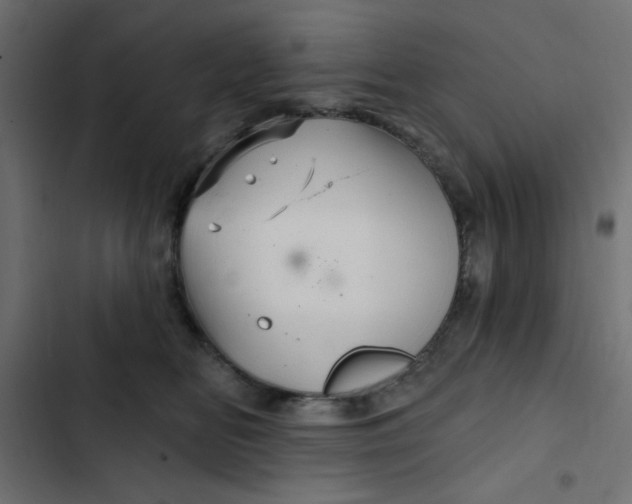 X0000103320518200809261139