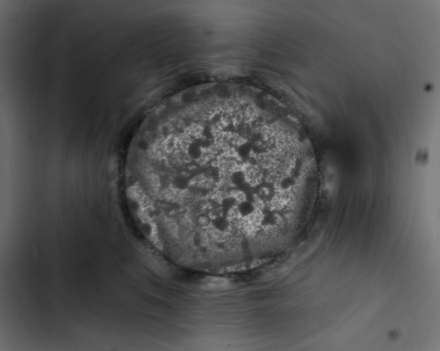 X0000103320519200809261139