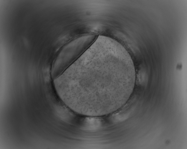 X0000103320520200809261139