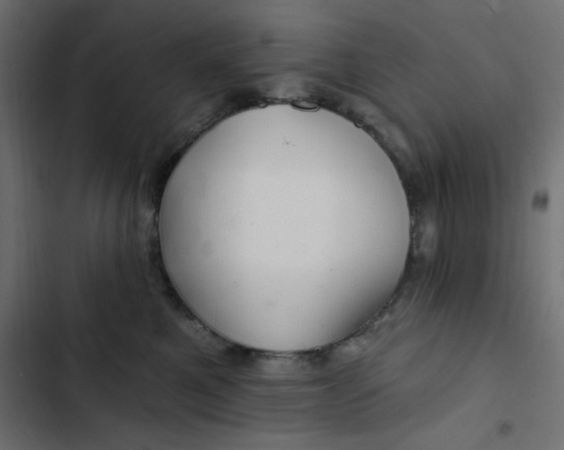 X0000103320521200809261139