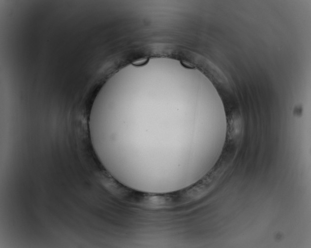 X0000103320522200809261139