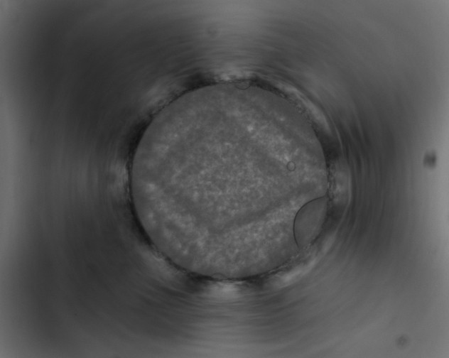 X0000103320523200809261139