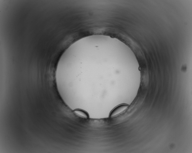 X0000103320525200809261139