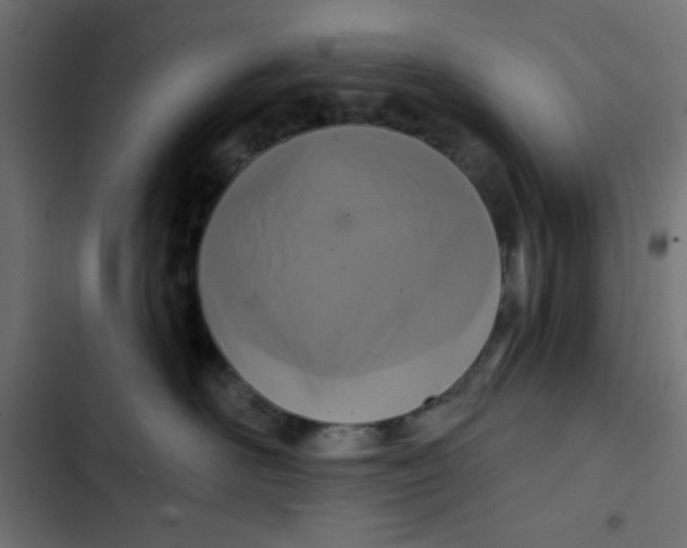 X0000103320526200809261139