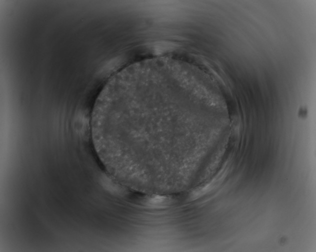 X0000103320527200809261139