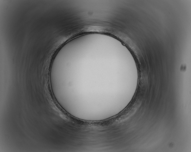 X0000103320529200809261138