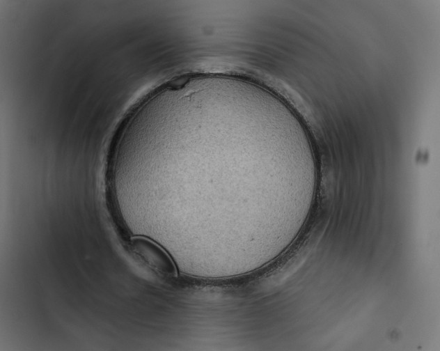 X0000103320530200809261138