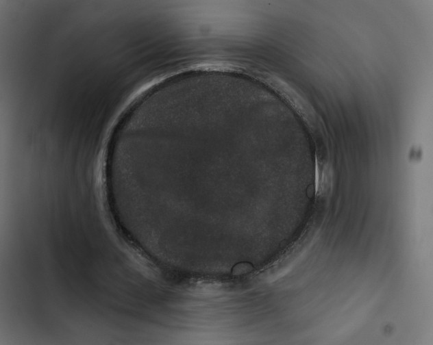 X0000103320531200809261138