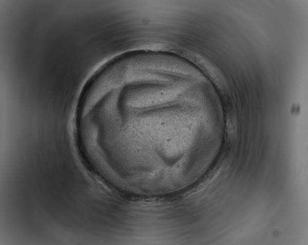 X0000103320532200809261138