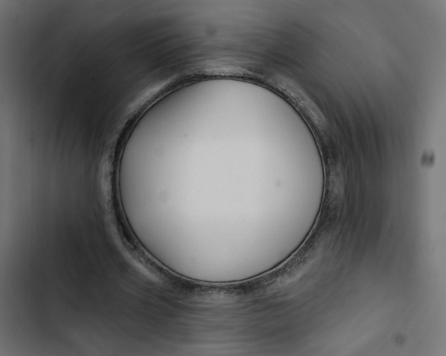 X0000103320533200809261138