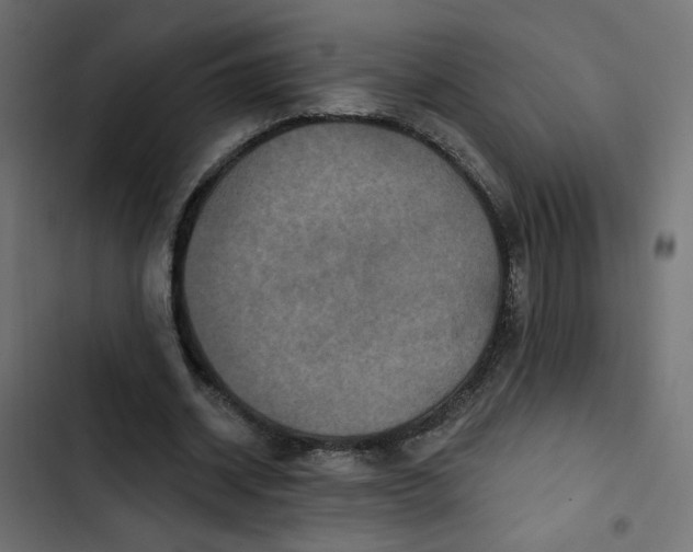 X0000103320534200809261139