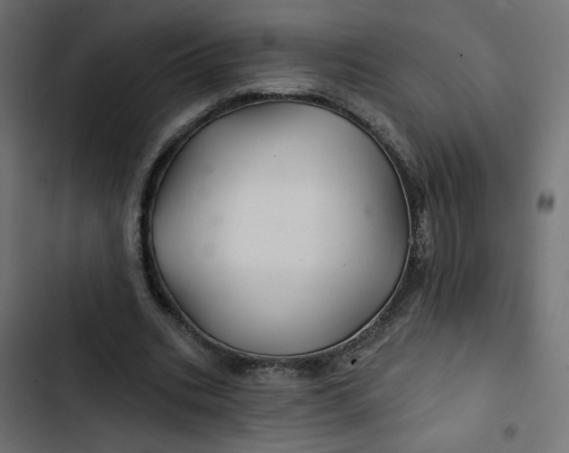 X0000103320535200809261139