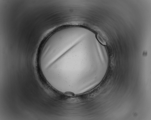 X0000103320536200809261139