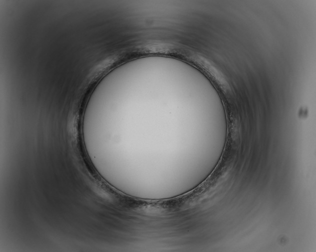 X0000103320537200809261139