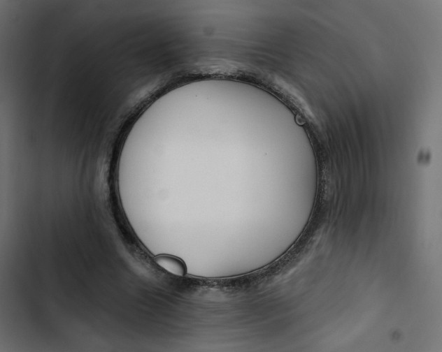 X0000103320538200809261139