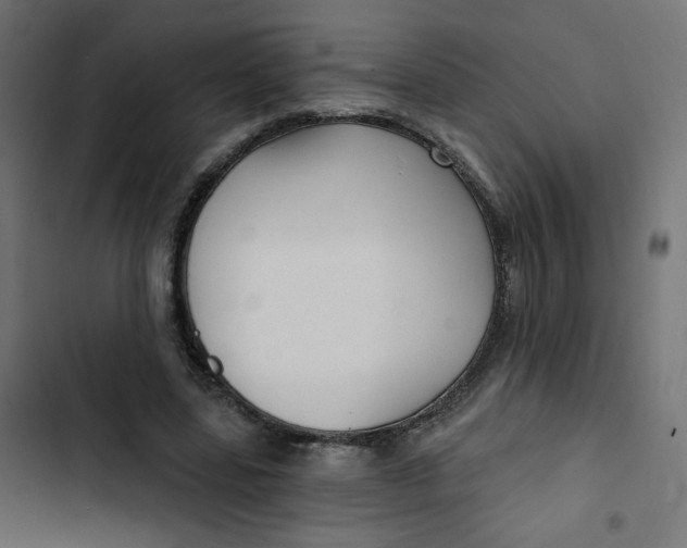 X0000103320539200809261139