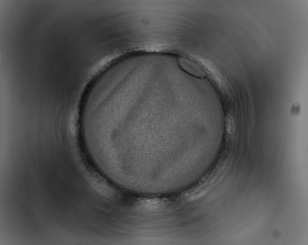 X0000103320540200809261139