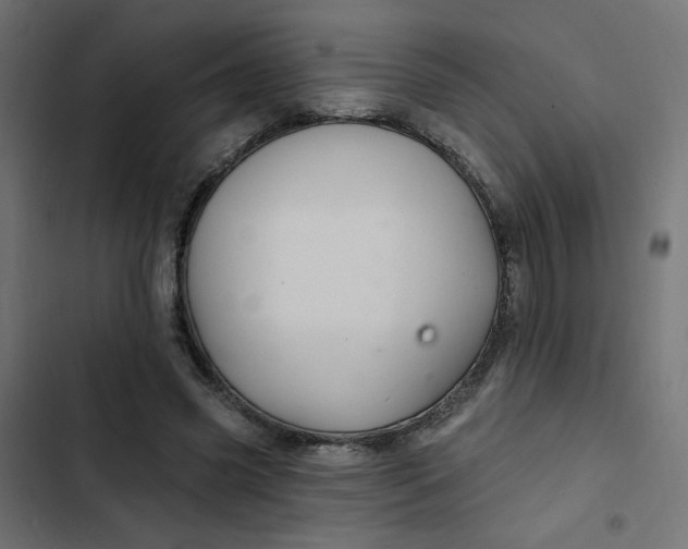 X0000103320541200809261139