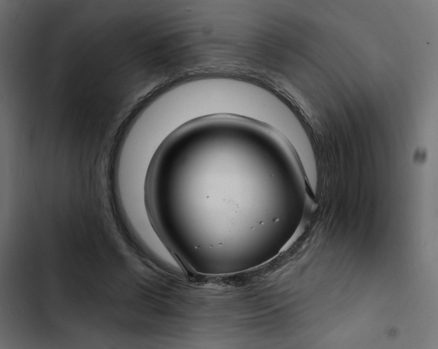 X0000103320542200809261139