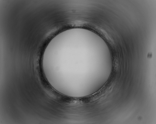 X0000103320543200809261139