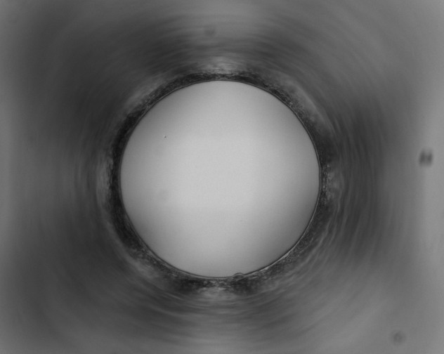 X0000103320544200809261139