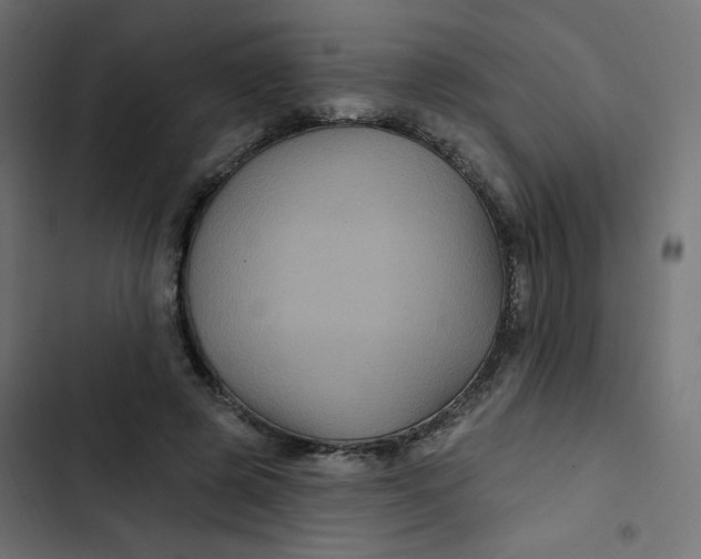 X0000103320545200809261139