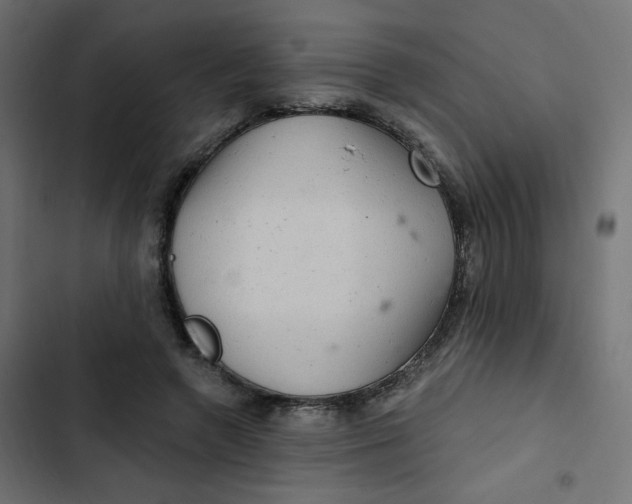 X0000103320546200809261139