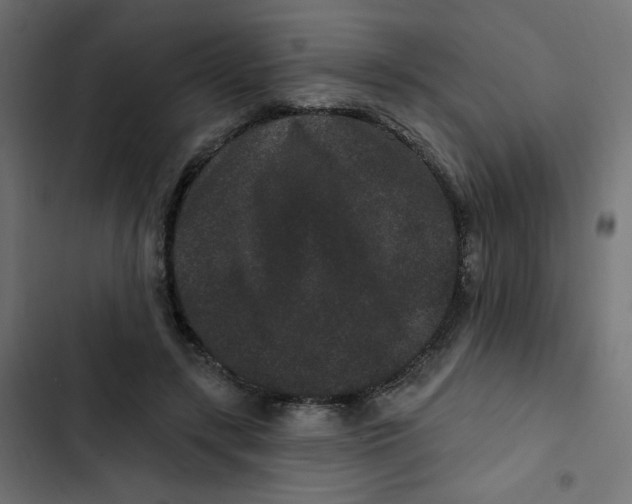 X0000103320547200809261139