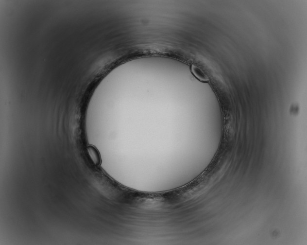 X0000103320548200809261139