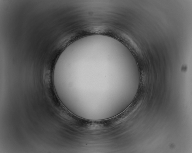 X0000103320549200809261139