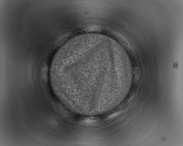 X0000103320550200809261139