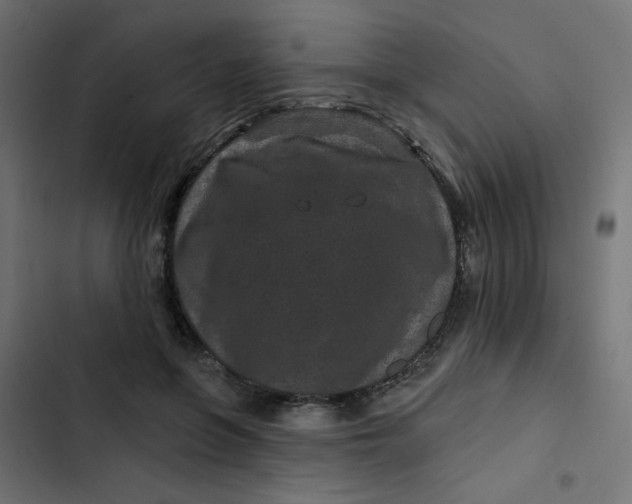 X0000103320551200809261139