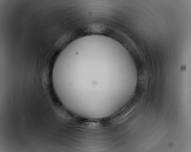 X0000103320552200809261139